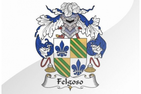 FELGOSO