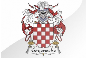 GOYENECHE